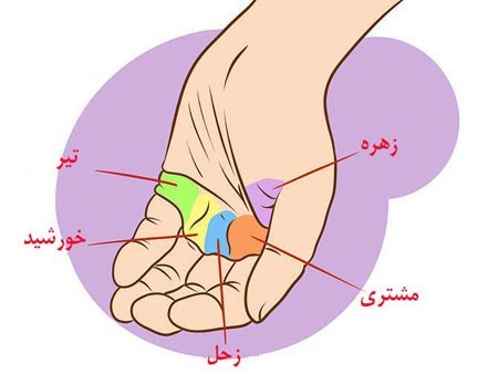 برآمدگیهای کف دست